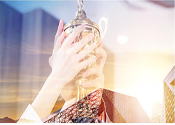 資質(zhì)和榮譽(yù)